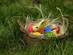 Ein gefülltest Osternest im Gras.
